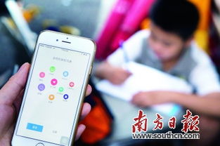 陽光教育網 點亮教育信息服務的未來之路